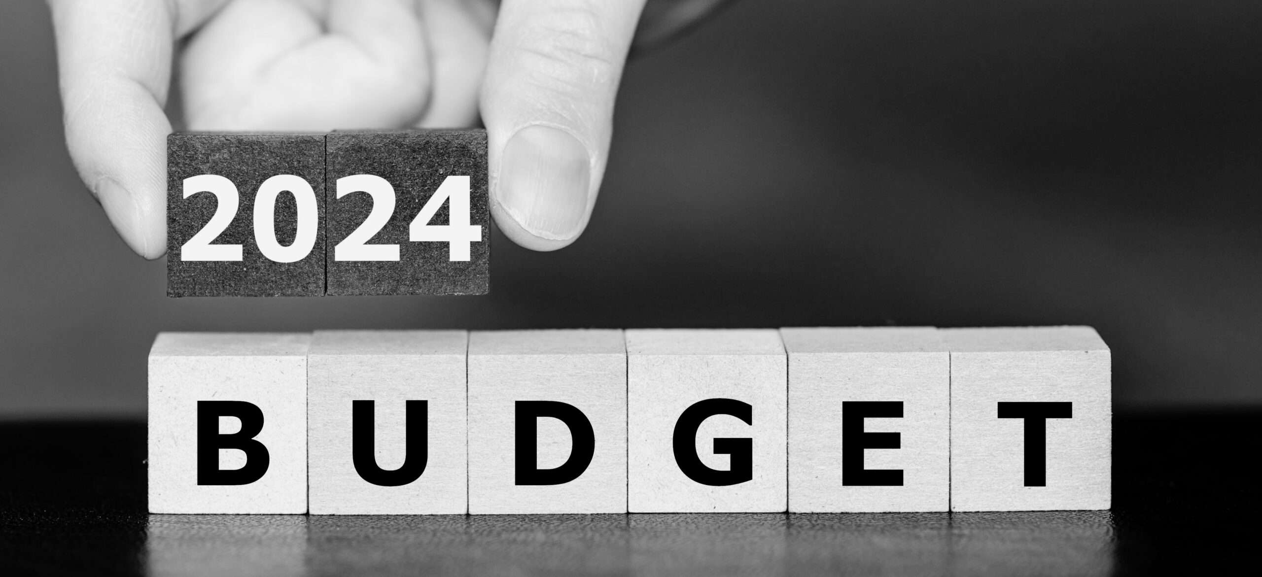 Demystifying Budget 20242025 A Simplified Guide » Mybrandname Your